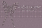 butterflyheaderpreview.jpg (11304 bytes)